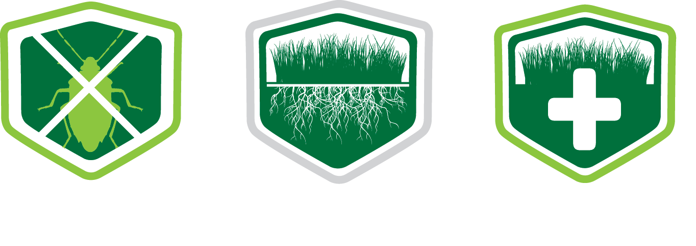 Endophyte, Roots etc Logo