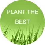 Plant the Best