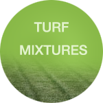 Turf Mixtures