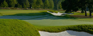 Penneagle II Bentgrass